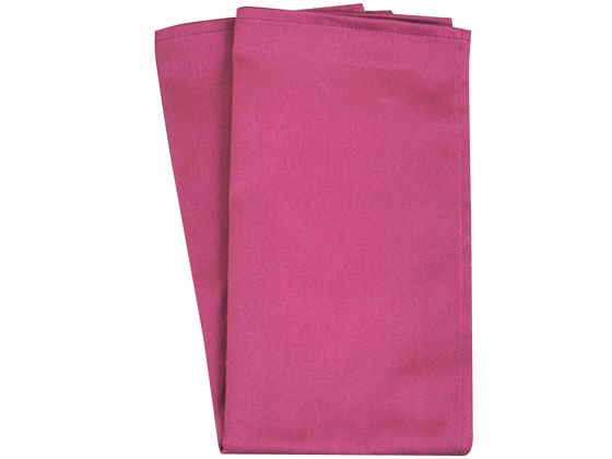 カラートーション ワインレッド リック 4015710