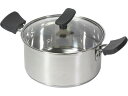 chiiino ステンレス3層底ガラス蓋付両手鍋 φ18cm パール金属 HB-6573