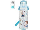 超軽量ダイレクトステンレスボトル 580ml アナと雪の女王24 スケーター SDC6N