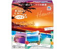 バスロマン 旅するハワイ アース製薬
