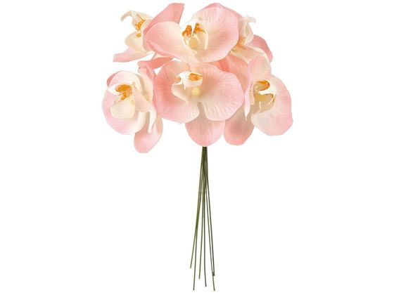 ¤ ץƥեΥԥå #2 PINK Ʋ FM000757-002