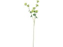 YDM/造花 ブプレリウム グリーン YDM(横浜ディスプレイミュージアム) FA-7346GR
