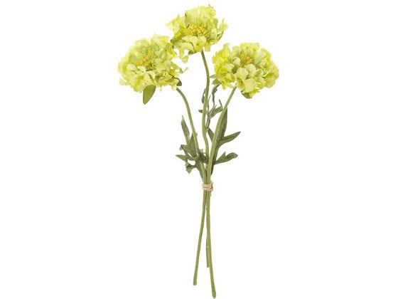 ¤ ե󥸥ӥ #4 ꡼ Ʋ FM009378-004