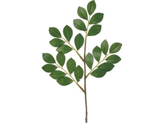 󥸥ȥ㤨YDM/¤ ҥԥå ꡼ YDMʲͥǥץ쥤ߥ塼 FG-5158GRפβǤʤ109ߤˤʤޤ