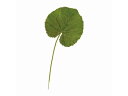 造花 ミニゲーラックス 6本 GREEN 東京堂 FG000758
