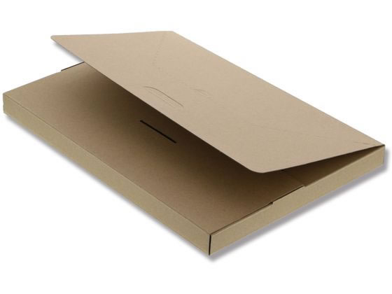 発送用段ボール A4-H25 10枚 ヘイコー 002123000