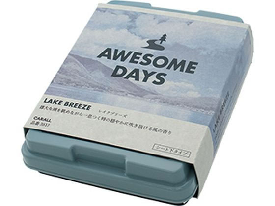 オーサムデイズ ボックス レイクブリーズ 晴香堂 3517