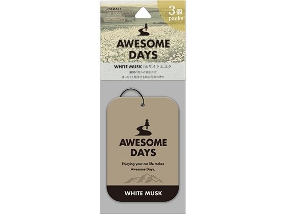 オーサムデイズ プレート 3個パック ホワイトムスク 晴香堂 3560