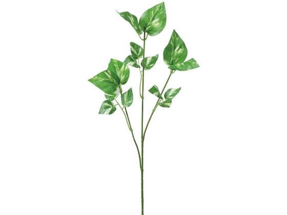 ݥȥץ졼 ꡼ YDMʲͥǥץ쥤ߥ塼 FG-4368RGR