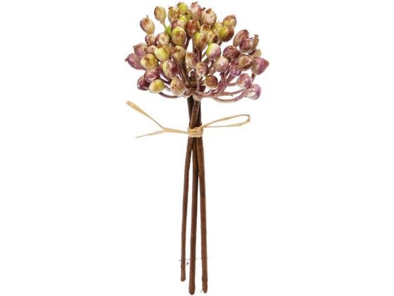 YDM/ߥ˥饹٥꡼ԥå ꡼ѡץ YDMʲͥǥץ쥤ߥ塼 FG4575-GPU