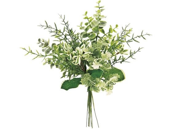 եå饹֡ LT.GREEN FG009341