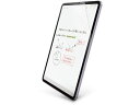 iPad mini A17 Pro フィルム 文字用 エレコム TB-A24SFLAPNS