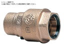 前澤給装工業/Pワン継手B型 めねじ付ソケット 50715402-50 5105333