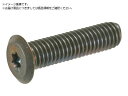 TRUSCO/ヘックスローブ超極低頭ねじ ステンレス ブロンズ M3×...(4)