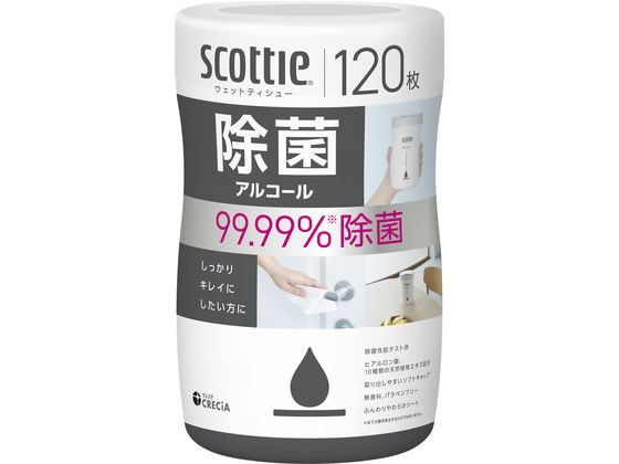 åƥ åȥƥ塼  륳 120 쥷 77133