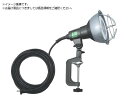 ハタヤ/LED作業灯 20WLEDランプ付 RGL-0 8278976