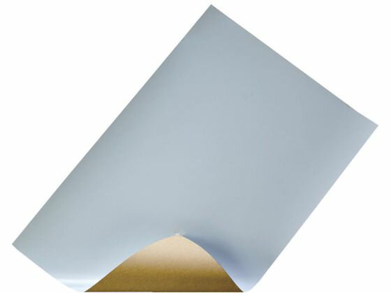 TRUSCO/スチールペーパー のり付 t0.2mmX巾450mmX600mm TSPN トラスコ中山 2555326