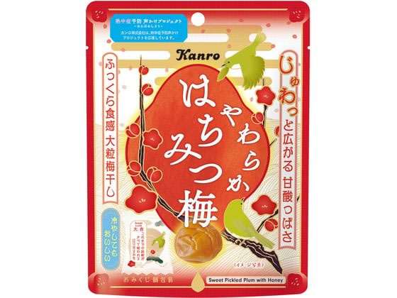 餫Ϥߤ 40g 