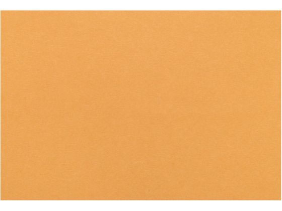 テーブルマット 里紙 100枚入 びわ No.1101 大黒工業 7834410