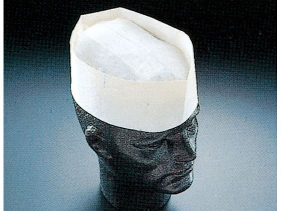 フォレージュハット 無地 A95000 100枚入 Pal 6048000