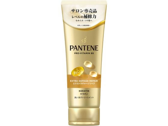 パンテーンE ダメージリペア トリートメント 特大 400G P&G