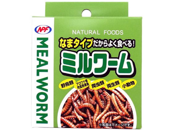 ミルワーム 35g ナチュラルペット