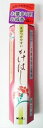 高級墓参 かけはし カーネーション4把入り