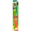 生葉極幅ブラシ ふつう 【 小林製薬 】 【 歯ブラシ 】