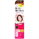 レディース トップシェード スプレーウィッグ <自然になじむ褐色>N 【 ヘアカラー・白髪用 】