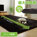 ラグ こたつ敷き布団 長方形 大きい 幅広ラグ ブラウン 約220×360cm