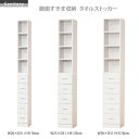 鏡面すきま収納 タオルストッカー (W20) (W25) (W30)