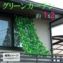 グリーンカーテン 1×2m