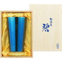 Made in TSUBAME 碧 銀古美18-8ステンレスW構造タンブラー 300mL AO-04