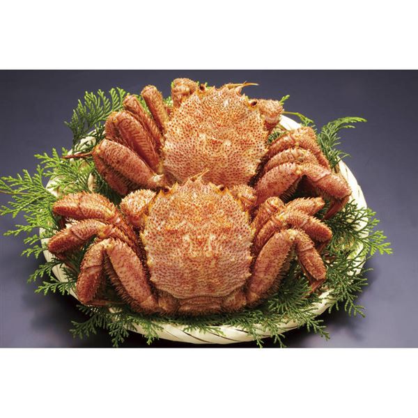北海道産ボイル毛がに320g×2尾 320*2【直送品】［］