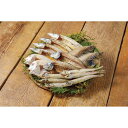 山陰海鮮一夜干しセット 6366-50【直送品】