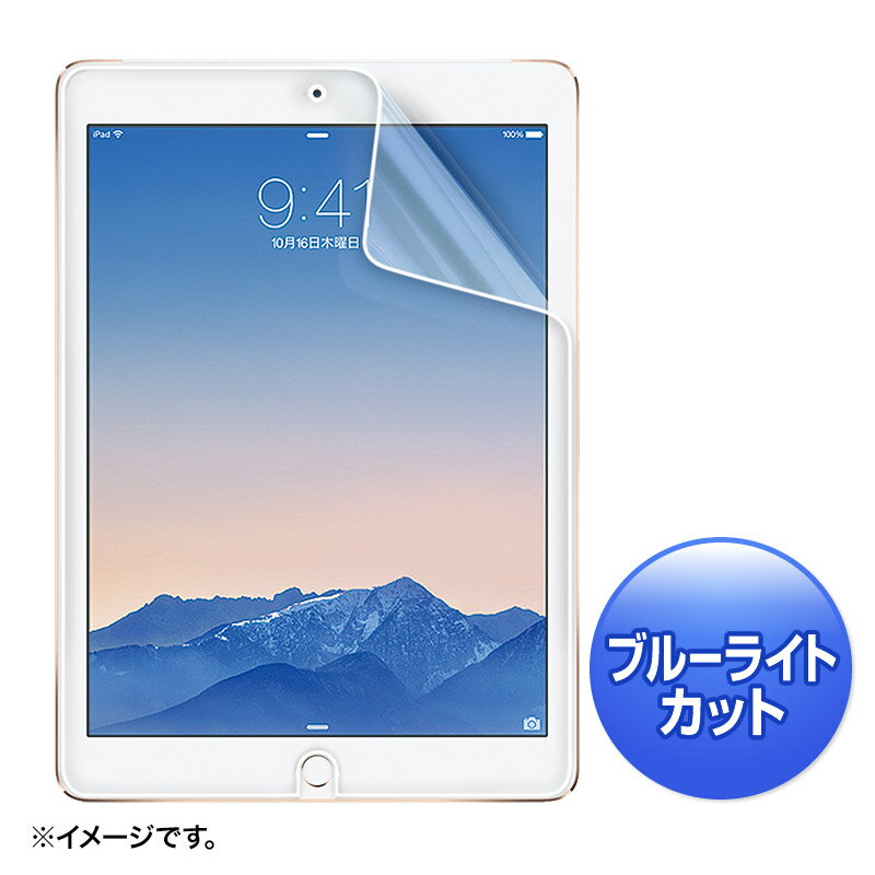 iPad Air 2ѥ֥롼饤ȥåȱվݸȿɻߥե [LCD-IPAD6BCAR]