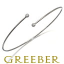 Tiffany&Co. ティファニー ブレスレット ダイヤ ダイヤモンド フープ シングルロウ 2P バングル Pt950 Bracelet【中古】BLJ