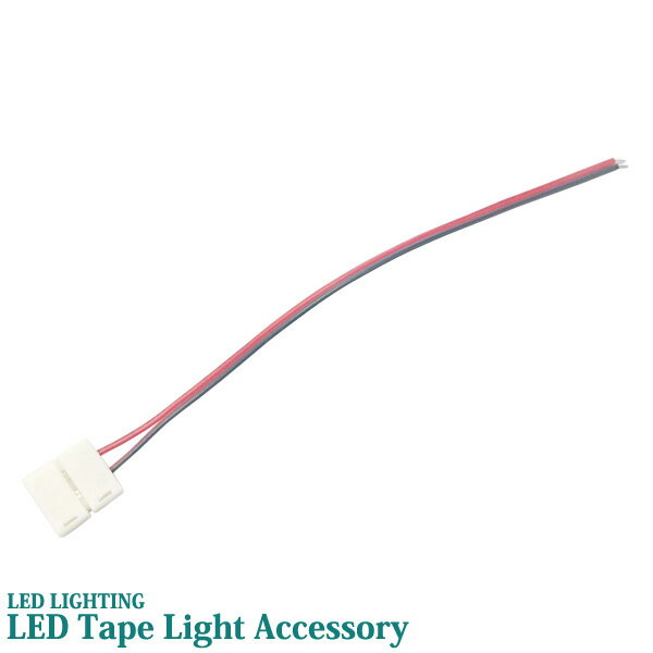  LED ơץ饤 10mm 󥿥å Ÿѥͥդ ɿ