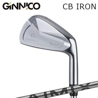 2023ǯǥ ९ 󥹥ݡ ˥ CB ǥ塼˥ ߥåEON SPORTS 2022 GINNICO CB IRON Design Tuning AIMIX/5ܥå(#6PW)