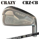 カスタムクラブ 2022年モデル クレイジー CRZ-CB アイアン バシレウス BiZ アイアンCRAZY CRZ-CB IRON Basileus BiZ ...