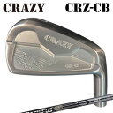 カスタムクラブ 2022年モデル クレイジー CRZ-CB アイアン バシレウス ツアー アイアンCRAZY CRZ-CB IRON Basileus Tour...