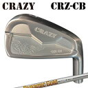 JX^Nu 2022Nf NCW[ CRZ-CB ACA gD[ep[ _Ci~bNS[h 95/105/120CRAZY CRZ-CB IRON True Temper Dynamic Gold 95/105/120/6{Zbg(#5`PW)