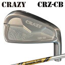 カスタムクラブ 2022年モデル クレイジー CRZ-CB アイアン ダイナミックゴールド ツアーイシューCRAZY CRZ-CB IRON Dynamic Gold Tour Issue6本セット(#5~PW)