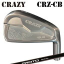 カスタムクラブ 2022年モデル クレイジー CRZ-CB アイアン クレイジー プロト 1フレックス アイアンCRAZY CRZ-CB IRON CRAZY ...