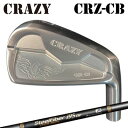 カスタムクラブ 2022年モデル クレイジー CRZ-CB アイアン エアロテック スチールファイバー プライベート リザーブ アイCRAZY CRZ-CB I...