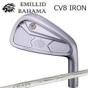 カスタムクラブ EMILLID BAHAMA CARLVINSON CV8 IRON CRAZY ARROW IRON New Designエミリッドバハマ カ...