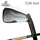 JBEAM T/20 IRON True Temper Dynamic Gold 105 ONYX BLACKジェイビーム T/20 アイアン ダイナミックゴー...