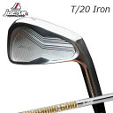 JBEAM T/20 IRON TrueTemper Dynemic Gold Heat Transferジェイビーム T/20 アイアン トゥルーテンパー ダ...