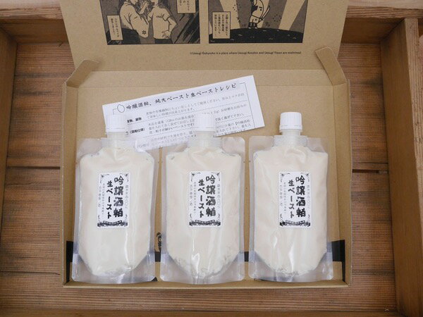 吟醸酒粕生ペースト（200gパウチ×3）送料無料 同梱不可 お試し クロネコゆうパケット
