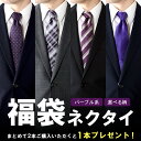 【スーパーSALE 10%OFF】福袋 ネクタイ 2本買うと1本プレゼント 選べる柄 パープル 紫 ドット ストライプ チェック
